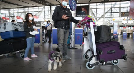SAG y Nuevo Pudahuel recuerdan requisitos para viajar al extranjero con mascotas
