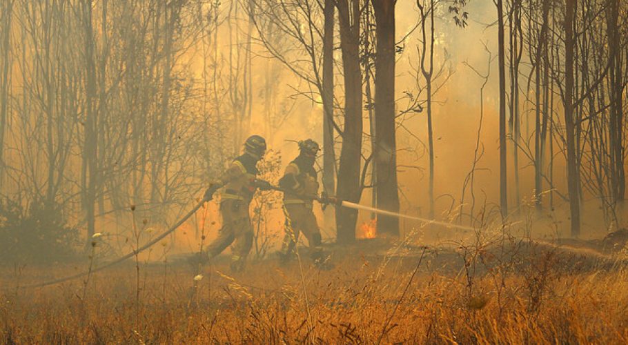 Se mantiene Alerta Roja para la comuna de Valparaíso por incendio forestal