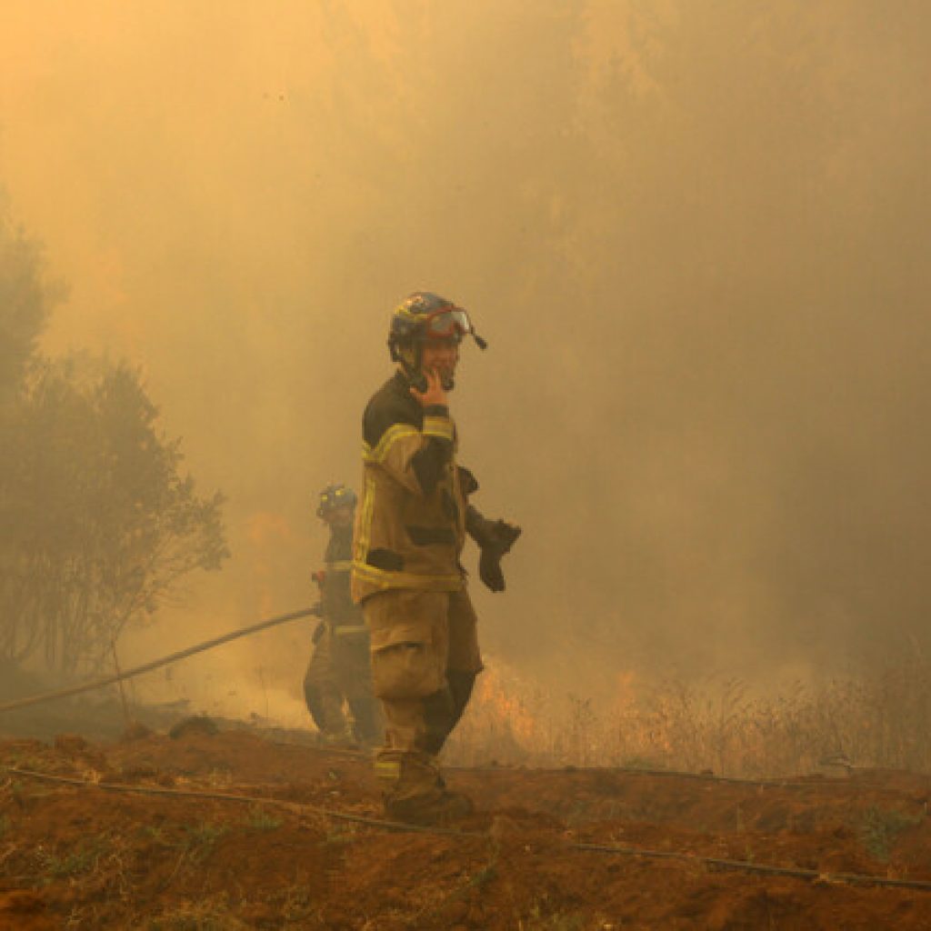 Declaran Alerta Roja para la comuna de Litueche por incendio forestal