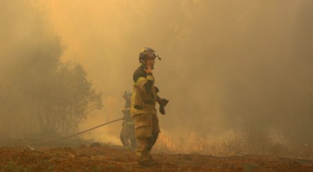 Declaran Alerta Roja para la comuna de Litueche por incendio forestal