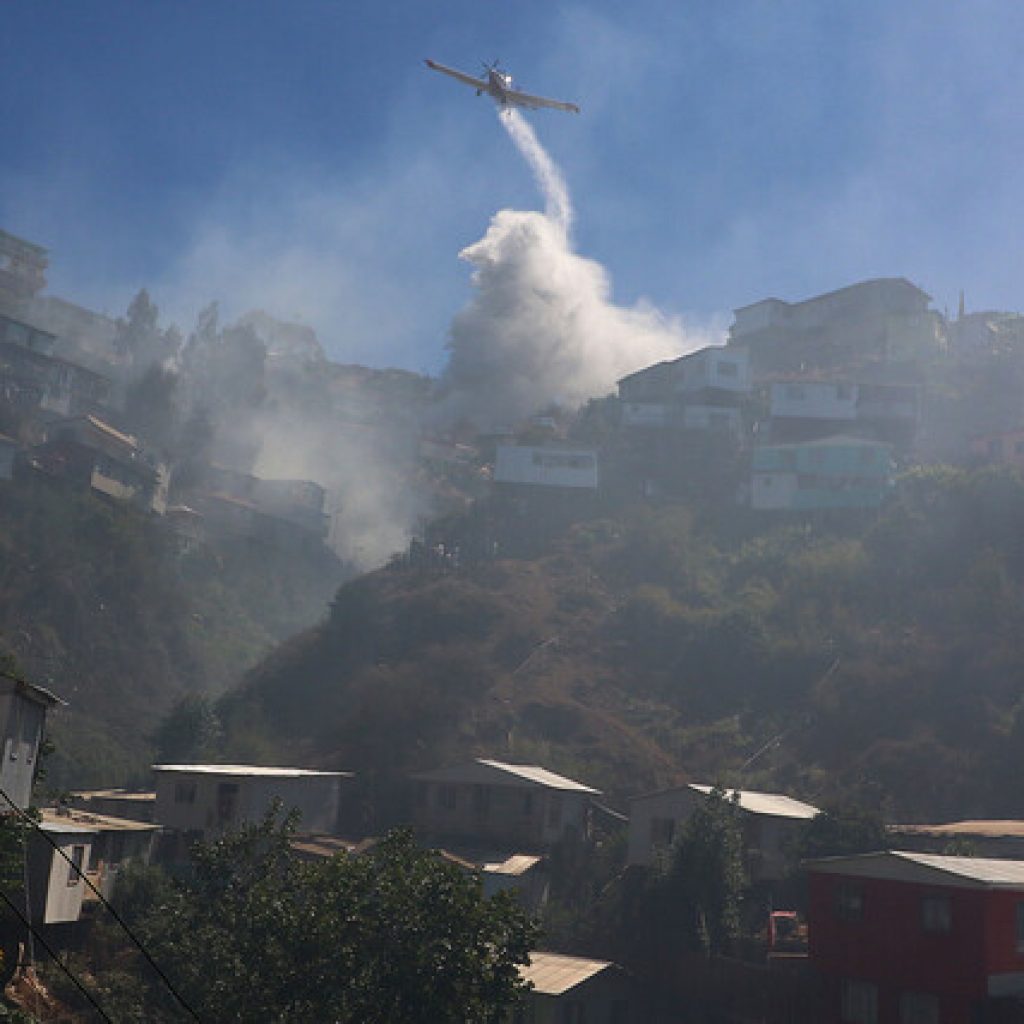 Alerta Roja para la comuna de Marchigüe por incendio forestal