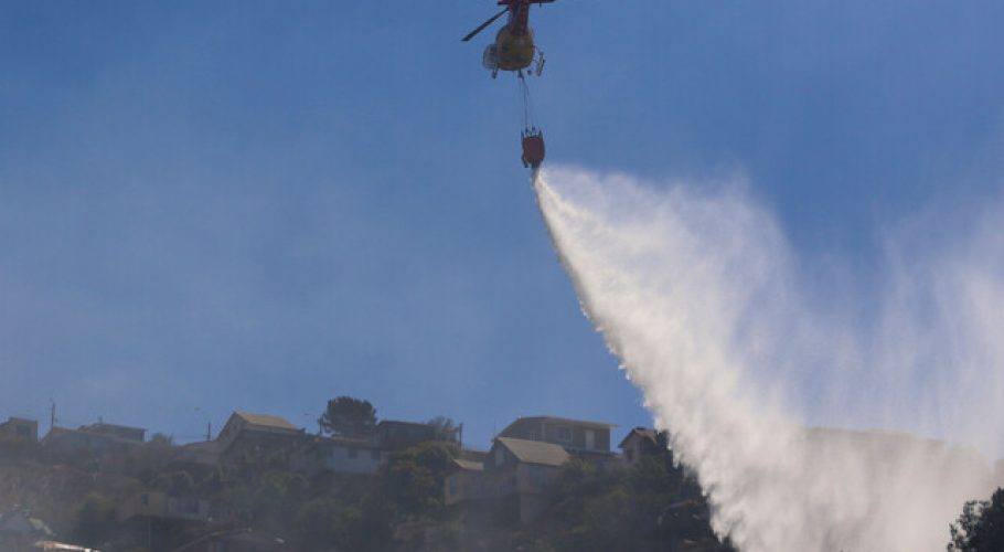 Declaran Alerta Roja para la comuna de Valparaíso por incendio forestal