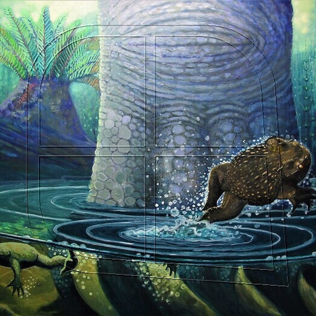 Descubren fósiles de ranas de era de los dinosaurios que habitaron la Patagonia