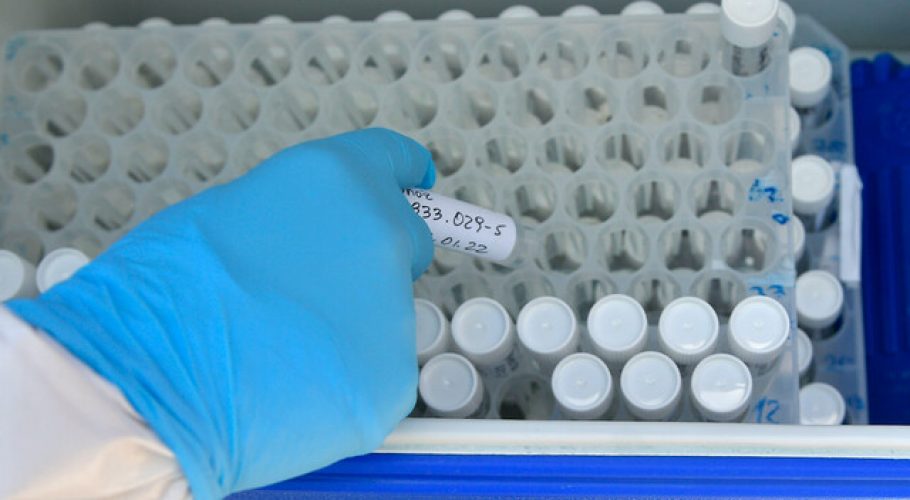 Ministerio de Salud reportó 8.904 nuevos casos de coronavirus en Chile