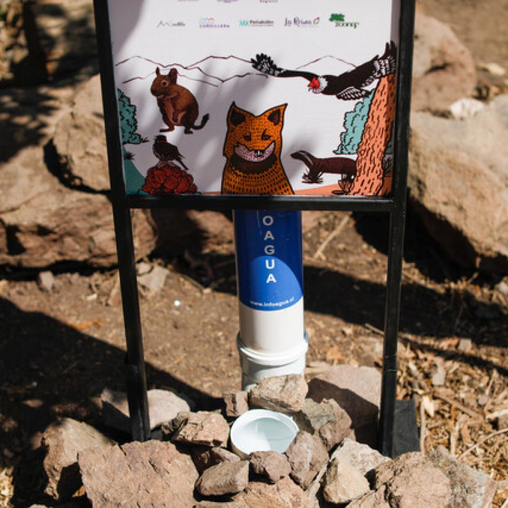 Gobierno metropolitano lanza campaña para salvar de sequía a fauna nativa