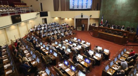 Cámara aprueba proyecto que amplía el plazo de la “Ley del Mono”
