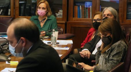 Comisión de Trabajo conoce antecedentes ad portas de votación de la PGU