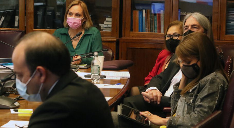 Comisión de Trabajo del Senado aprobó idea de legislar proyecto de PGU