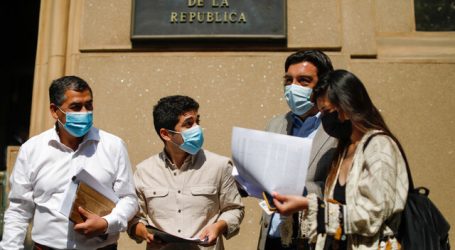 Diputados presentan recurso ante Contraloría por licitación del litio