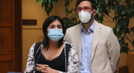 Cariola anuncia Comité Mixto integrado por PC, FRVS e Independientes