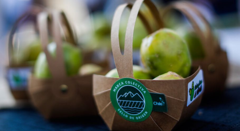 Frutillas de San Pedro y tunas de Tiltil obtienen el Sello de Origen