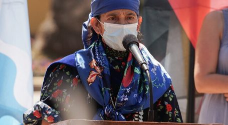 Convención Constitucional lanzó proceso de Consulta Indígena