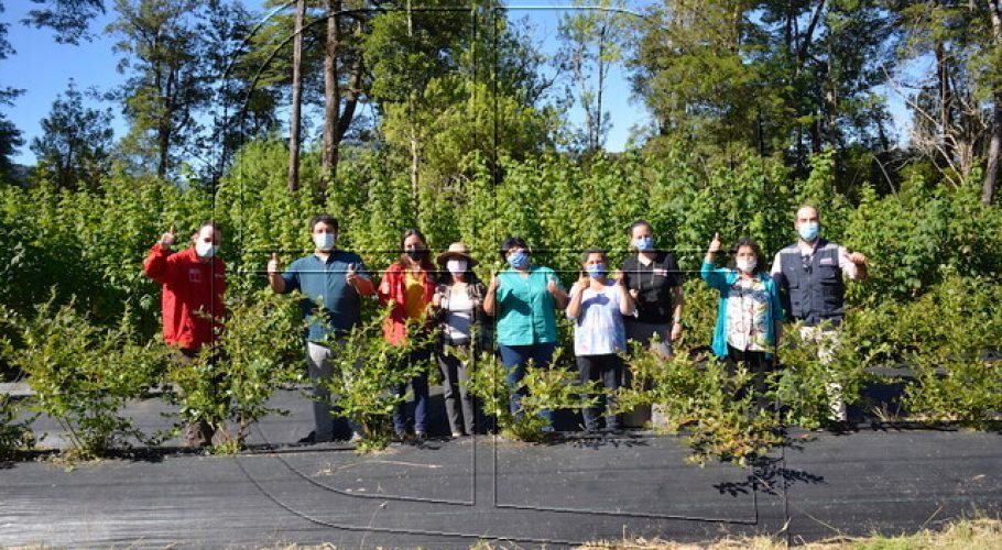 Minagri destaca aporte de Aysén en el desarrollo rural y la innovación agraria
