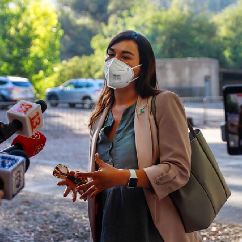 Izkia Siches y crisis en Tarapacá: “Hay que preguntarle al Gobierno”