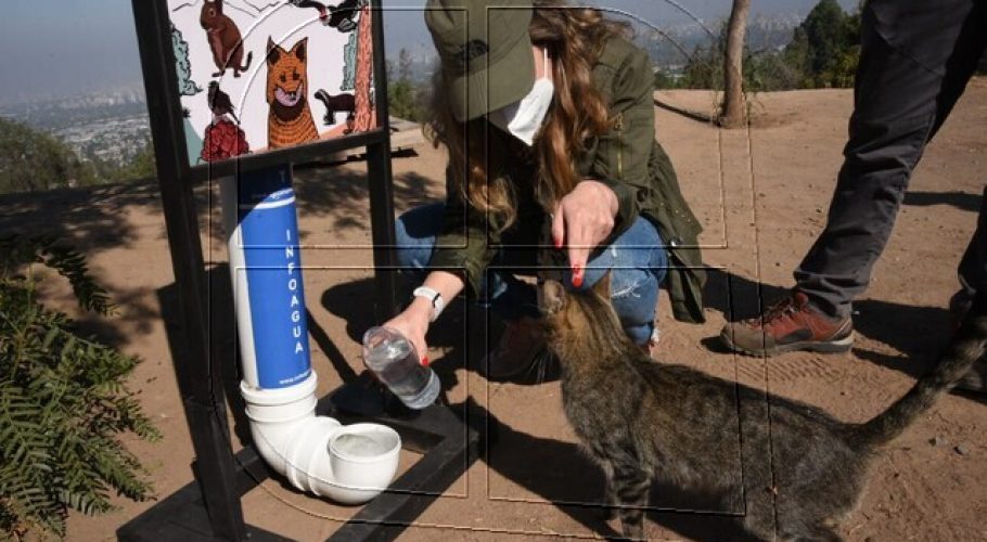 GORE RM (S) revisa en terreno la instalación de bebederos de fauna en parques