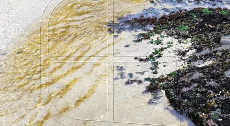 Municipio de Lota recomienda no ingresar a playas por coloración inusual