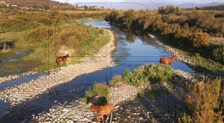 Vecinos y agrupaciones rechazan obras de canalización del Río Aconcagua