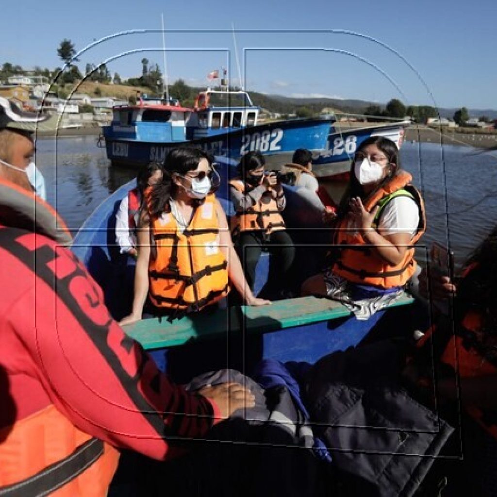 Díaz pide “actuar a tiempo” por perjuicios de fenómeno marino en Golfo de Arauco