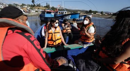 Díaz pide “actuar a tiempo” por perjuicios de fenómeno marino en Golfo de Arauco