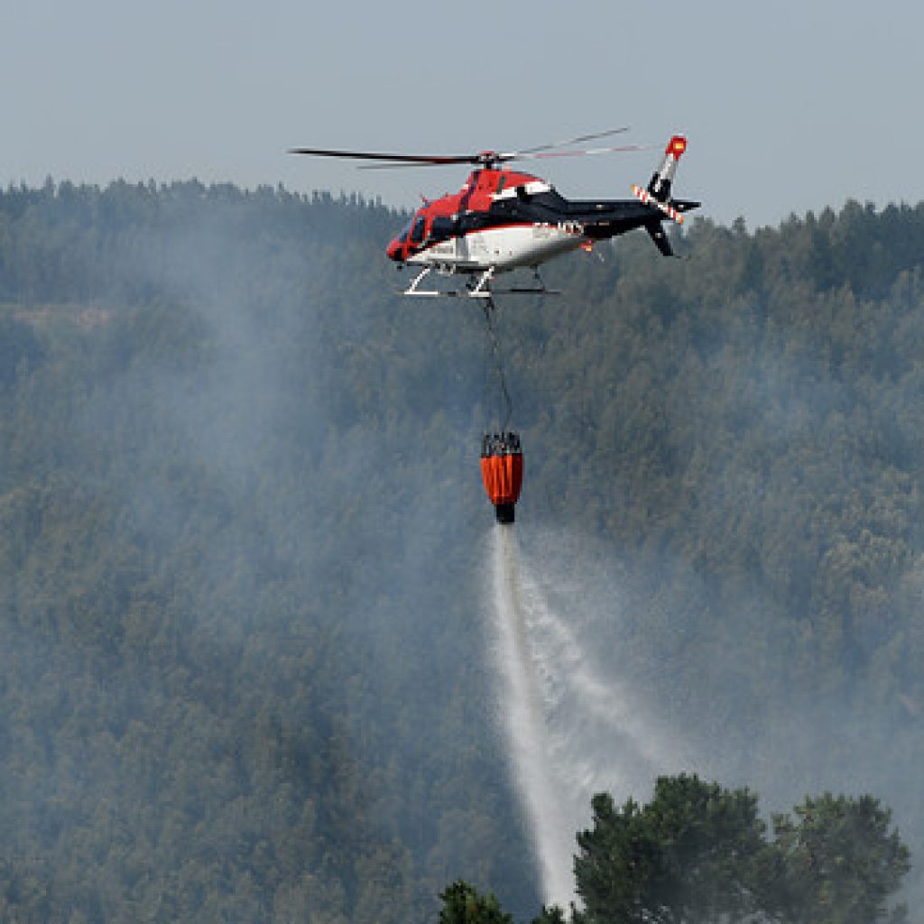 Declaran Alerta Roja en San Pedro de la Paz por incendio forestal