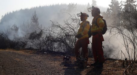Declaran Alerta Roja para la comuna de Penco por incendio forestal