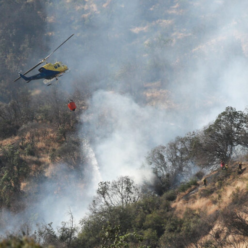 Onemi reporta 29 incendios forestales activos a nivel nacional