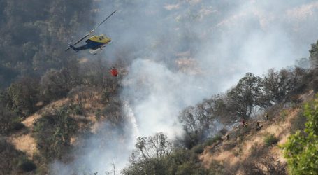 Onemi reporta 29 incendios forestales activos a nivel nacional