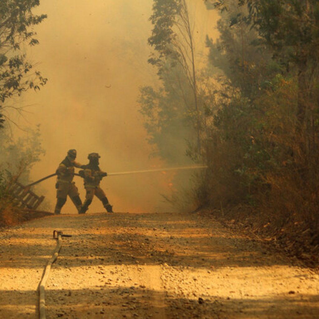Declaran Alerta Roja para la comuna de Ercilla por incendio forestal