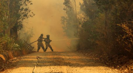 Declaran Alerta Roja para la comuna de Ercilla por incendio forestal