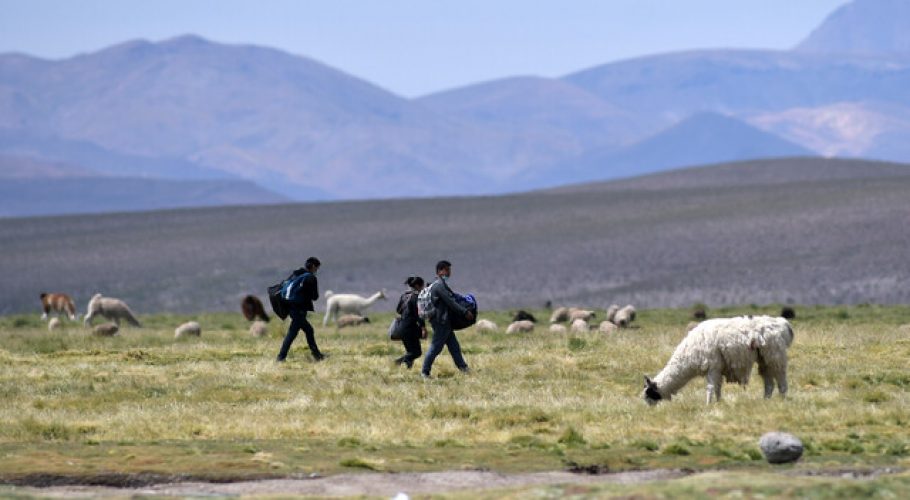 Alcalde de Colchane acusó “confusión y falta de orientación” por ley migratoria