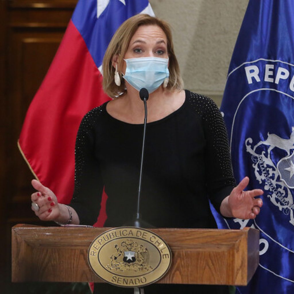 “Amarillos por Chile” expresan inquietudes por el proceso constituyente