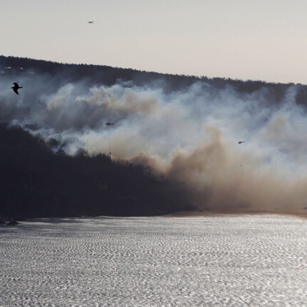 37 incendios forestales a nivel nacional se encuentran activos