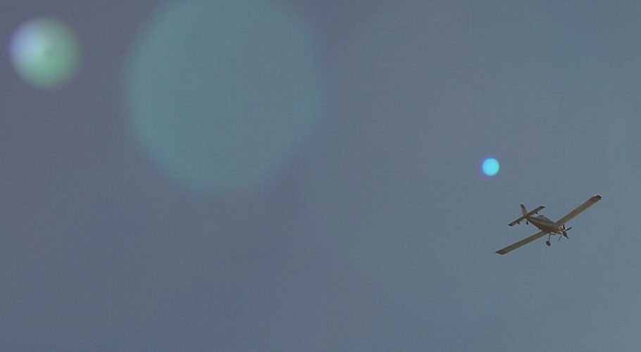 Alerta Roja para la comuna de Casablanca por incendio forestal