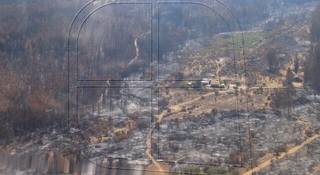 Ministra Undurraga sobrevoló el incendio forestal de Pidihuinco