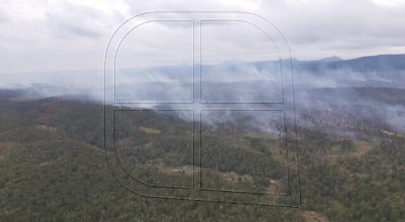 Undurraga e incendio de Timaukel: Hemos dispuesto todos los recursos necesarios