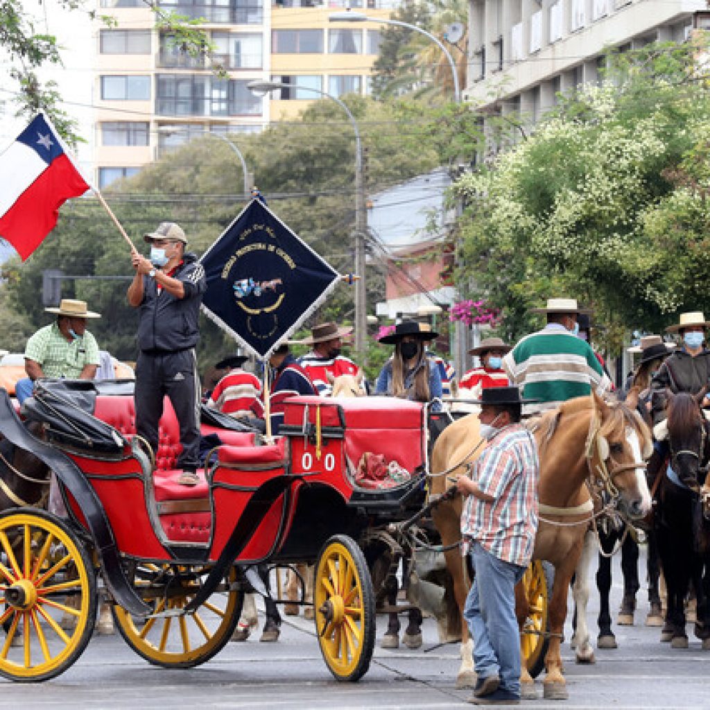 Viña del Mar: Alcaldesa Ripamonti acusó “falta de voluntad” de cocheros