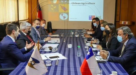 Undurraga firma plan de trabajo con ministro de Comisión Económica Euroasiática