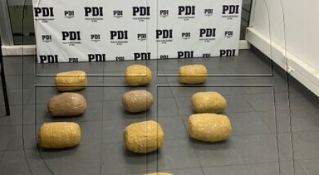 PDI de Arica incautó 10 kilos de cannabis a tres bolivianos