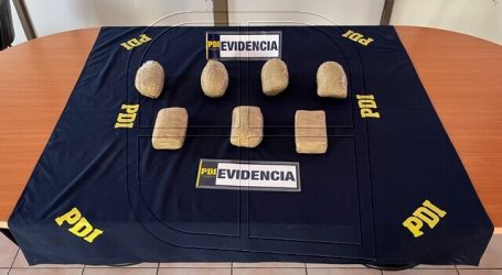 PDI incautó más de 15 kilos en droga siendo ingresada por la frontera con Perú