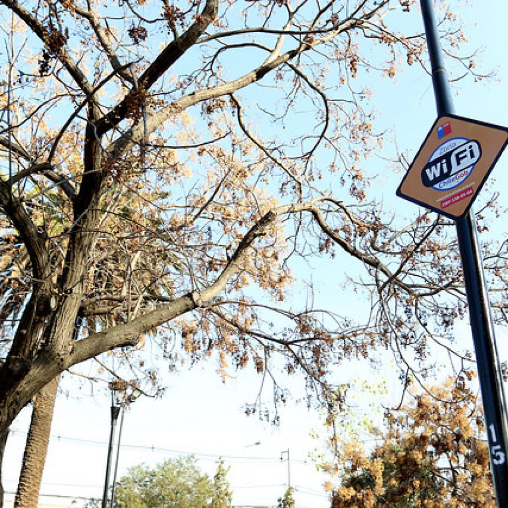 Inauguran puntos de conexión “Wifi ChileGob 2.0” en San Esteban