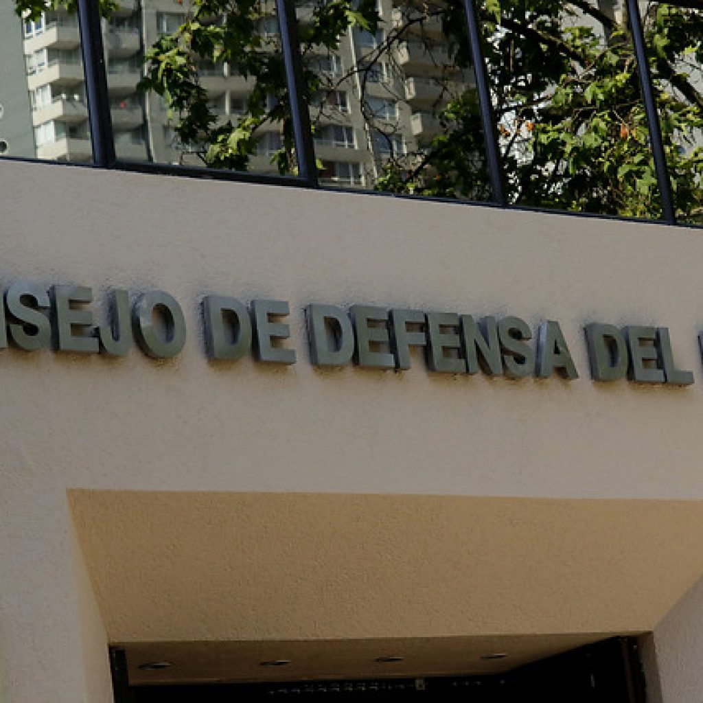 Tribunal ambiental acoge cautelar pedida por CDE sobre reserva Mocho-Choshuenco