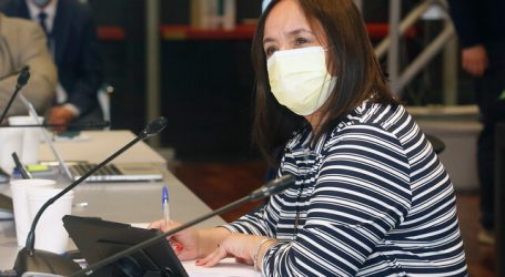 Aravena criticó retiro de 139 querellas por Ley de Seguridad del Estado