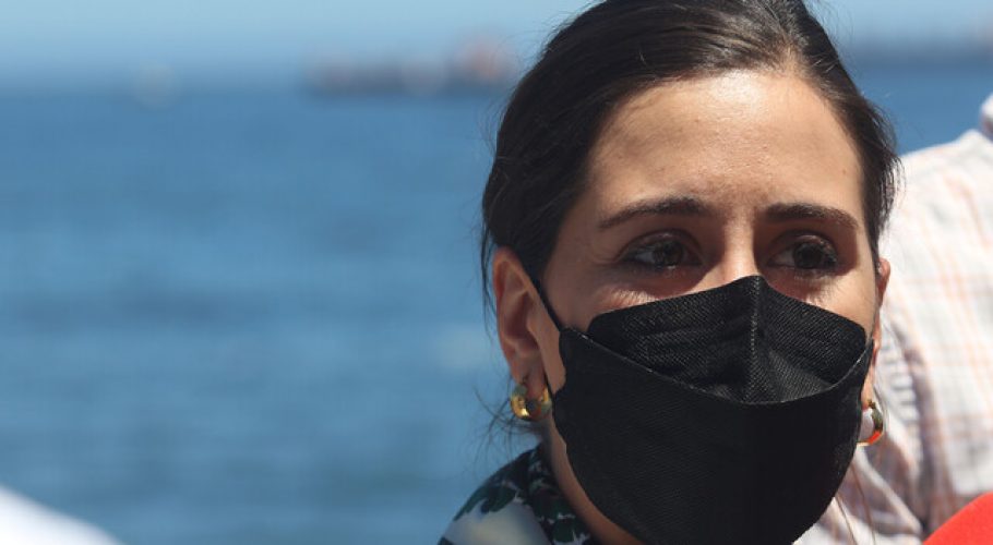 Ripamonti y ministro Montes abordan problemática de vivienda en Viña del Mar