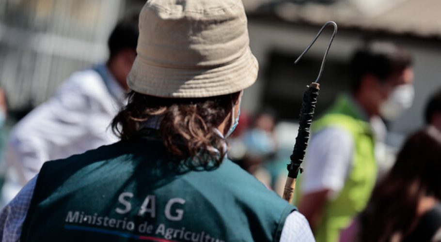 SAG prohíbe uso de familias de antibióticos considerados críticos para la salud