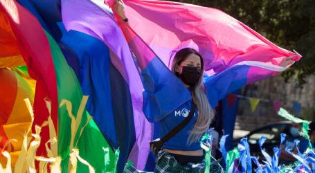 Movilh: Denuncias por homofobia y transfobia bajan por primera vez en ocho años