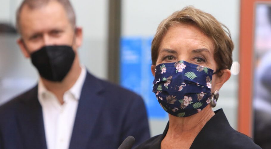 Corredor de transporte público en Av. Santa Rosa contará con buses eléctricos