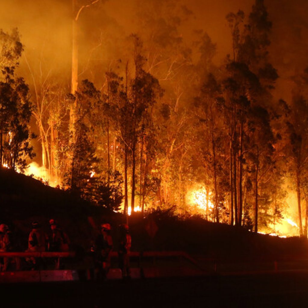 Se mantiene Alerta Roja en comuna de Valparaíso por incendio forestal
