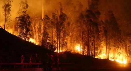 Se mantiene Alerta Roja en comuna de Valparaíso por incendio forestal