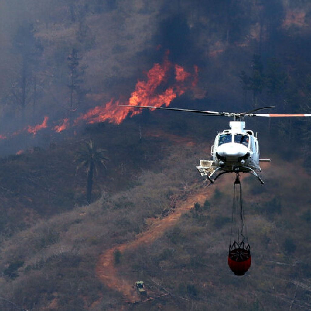 Declaran Alerta Roja para Chillán por incendio forestal