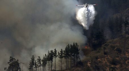 Se mantiene Alerta Roja para la comuna de Coelemu por incendio forestal